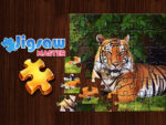 Jigsaw Grasp